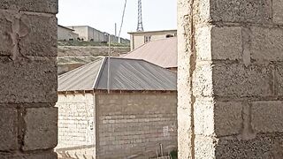 Клатка за день