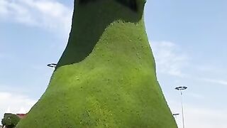 Сад цветов Miracle Garden в Дубае, ОАЭ ????????