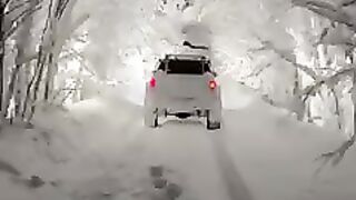Магия зимних ночей