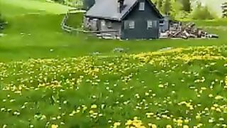 Швейцария 2 2