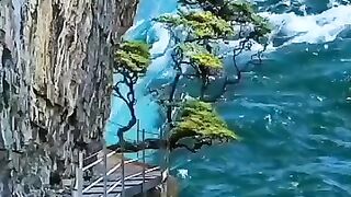 Niagara Falls