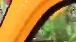Необыкновенный  аквариум 2