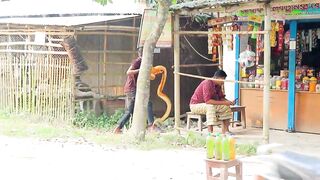 King Cobra Snake Prank. Fake Snake Prank Video on Publiс..mp4
