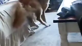 Эту жопку не остановить))