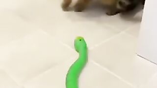 Страшно)))))