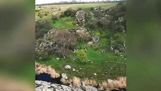 Природа Украина