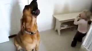 Малыш играет, пёс поёт