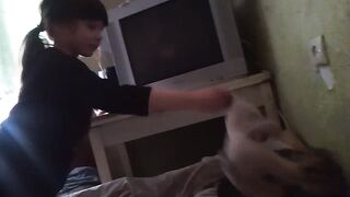 кот играет