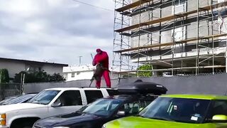 Топ 10 Собак