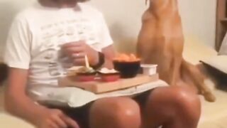 Позитив 3