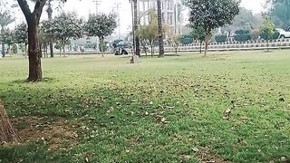 #multan#pakistan