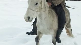 Horse riding in snow