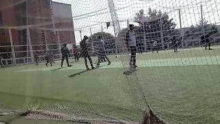 Cricket