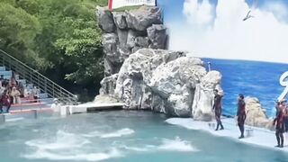 Funny video safari world ????! crazy  officialrohit