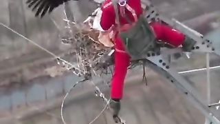 He help the egile