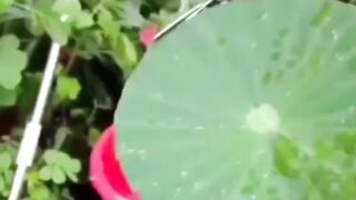 Respect video#viral, #virltv, #respectvideo,