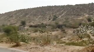 SAFAR KHUBSOORAT