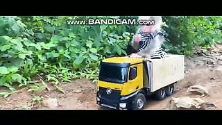 Pets or Animals Videos 22-2-2023-16