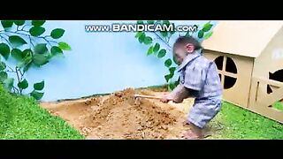 Pets or Animals Videos 22-2-2023-17