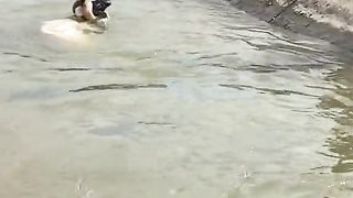 nice and best clip