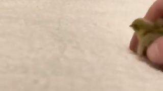 Tiny ????