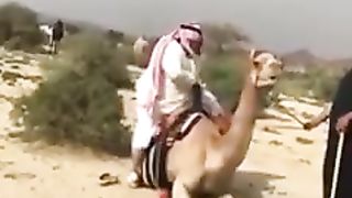 Funny video