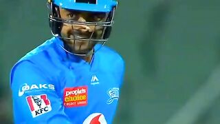 Cricket lover