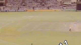 Cricket lover