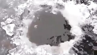 Очень большой сазан зимой. Но закон поймал отпусти