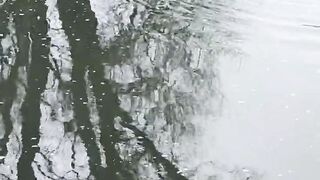 Огромный лещ на фидер весной. Реальная рыбалка