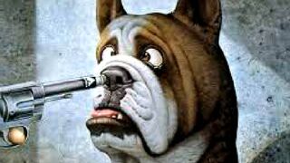 Funny  Cats   and  Dogs  - Awesome Funny  Animals Video. Episode # 19