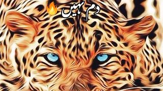 ATTITUDE VIDEO# PLZZZZZ FOLLOW