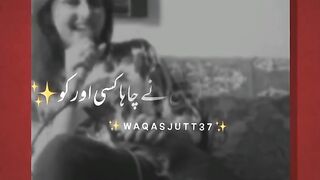 Shairy beauti
