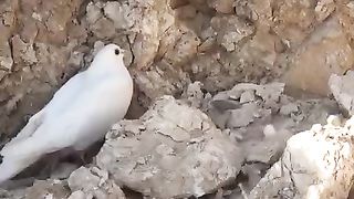 Awesome video ????