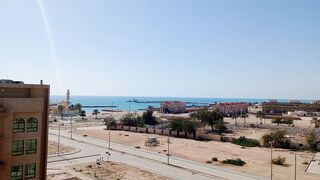 Delmaa island