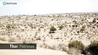 Tharparkar beautiful