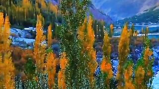 Beautiful view