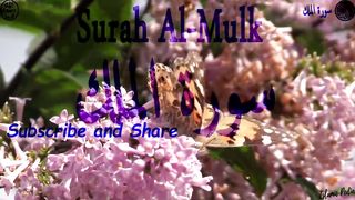 Surah Mulk with Urdu Translation - Surah Al-Mulk Mishary Alafasy Tilawat with Urdu Tarjumah