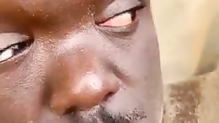 funny cats|funny moments|funny videos 2023|funny pet videos| funny clips video