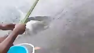 Best Funny Video Of Sean Bridon|funny cats|funny moments|funny videos 2023