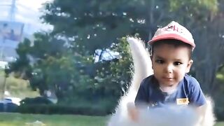 Hassan Ali Videos Most Favorite Videos