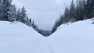 F Logging