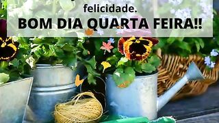 Mensagens motivacionais, se escreva no canal e comenta que sigo vc de volta