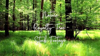 nature video