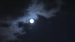 Surah ikhlas #islami_video #shorts clip