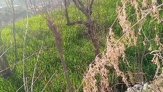 عصر کے وقت کا خوبصورت منظر