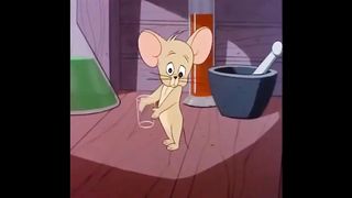 Cartoon  Tom&Jerry 2023