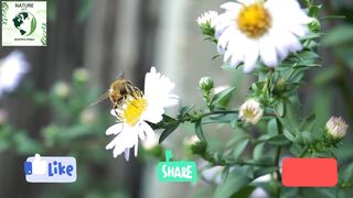 Amazing Landscape Nature Scenery & Relaxing Music