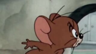 Most most funny video tom and jerry