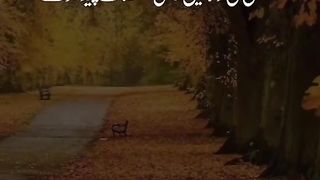 Islamic video